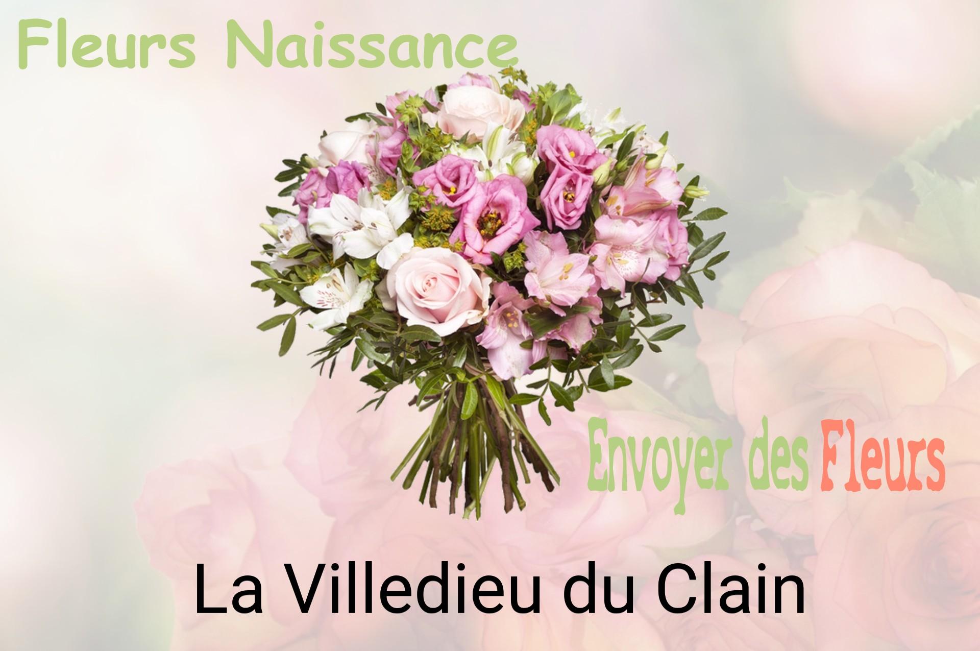 Bouquet de fleurs de naissance livré à La Villedieu-du-Clain